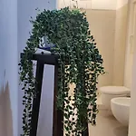 Appartamento Amalò Bari