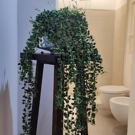 Apartment Amalo Bari